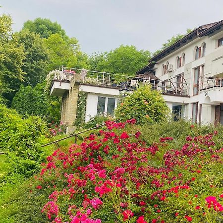 Rapsodia Pension Suceava Dış mekan fotoğraf