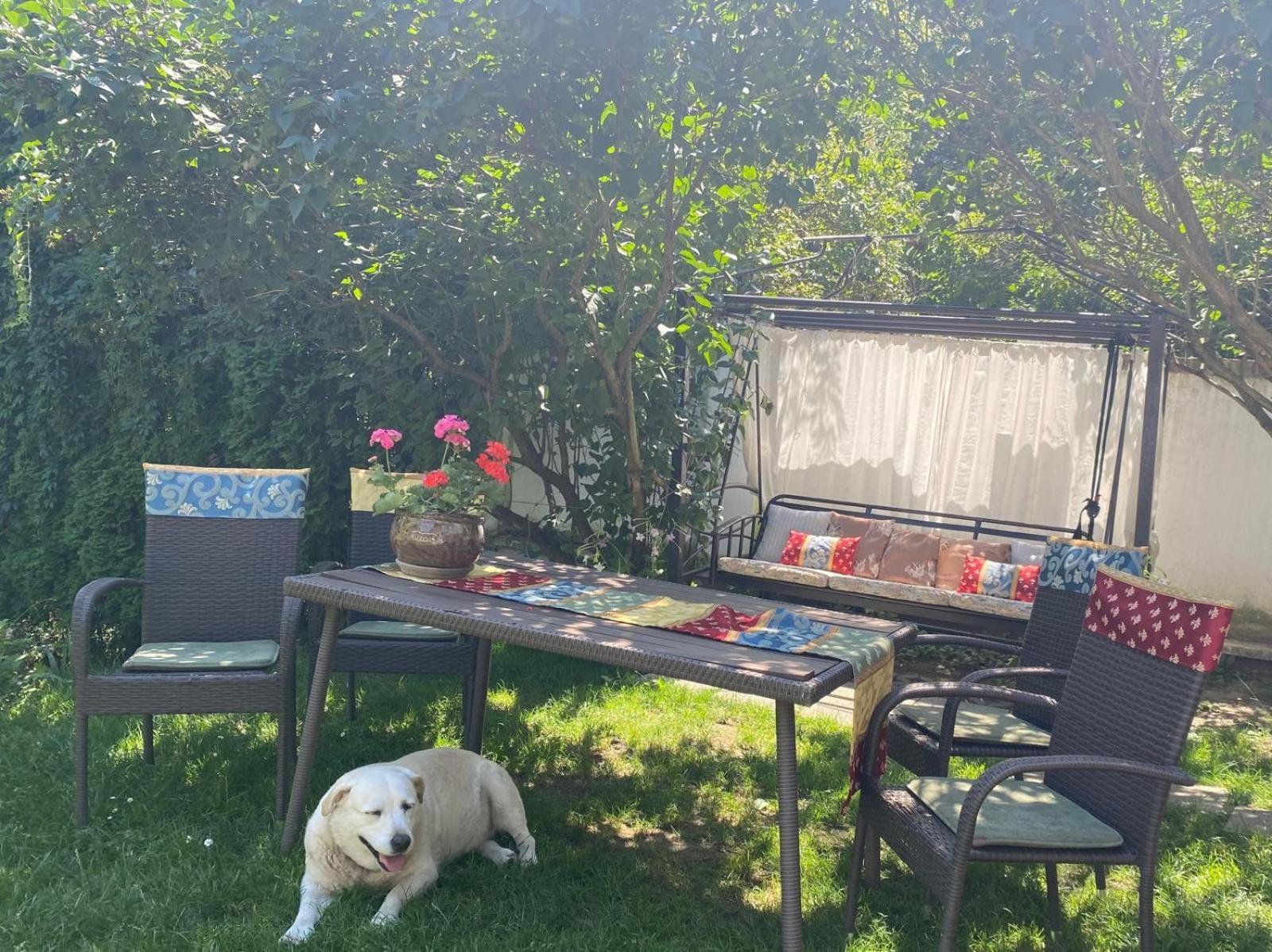 Rapsodia Pension Suceava Dış mekan fotoğraf