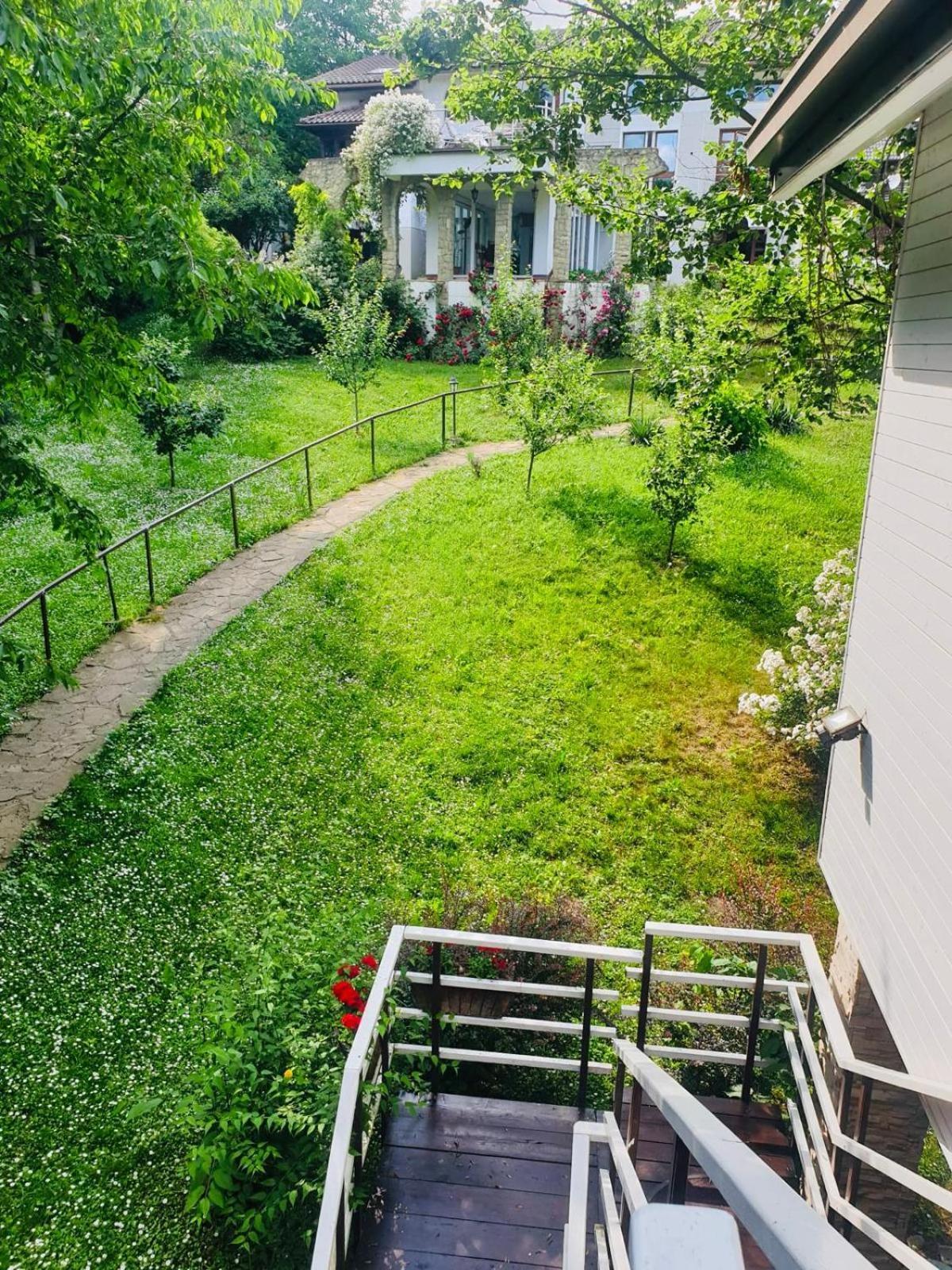 Rapsodia Pension Suceava Dış mekan fotoğraf