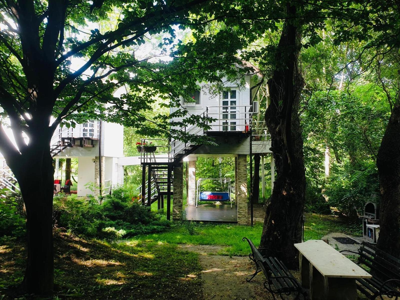 Rapsodia Pension Suceava Dış mekan fotoğraf