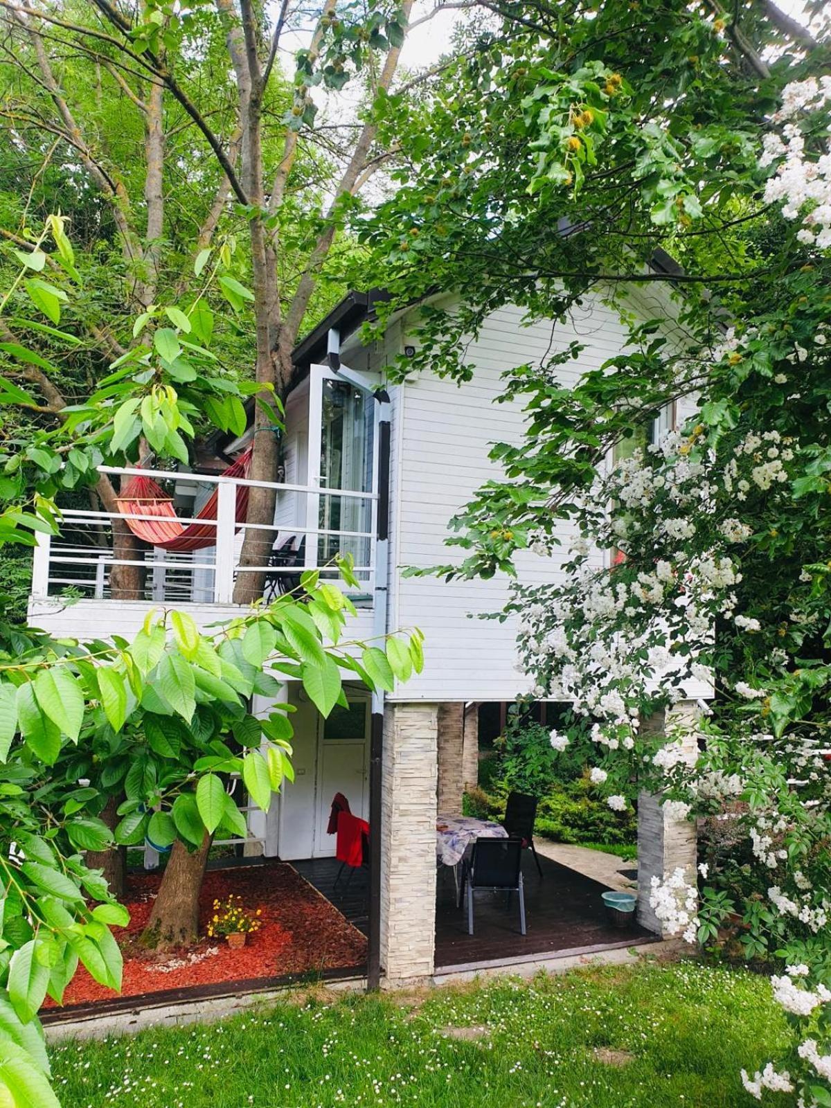 Rapsodia Pension Suceava Dış mekan fotoğraf