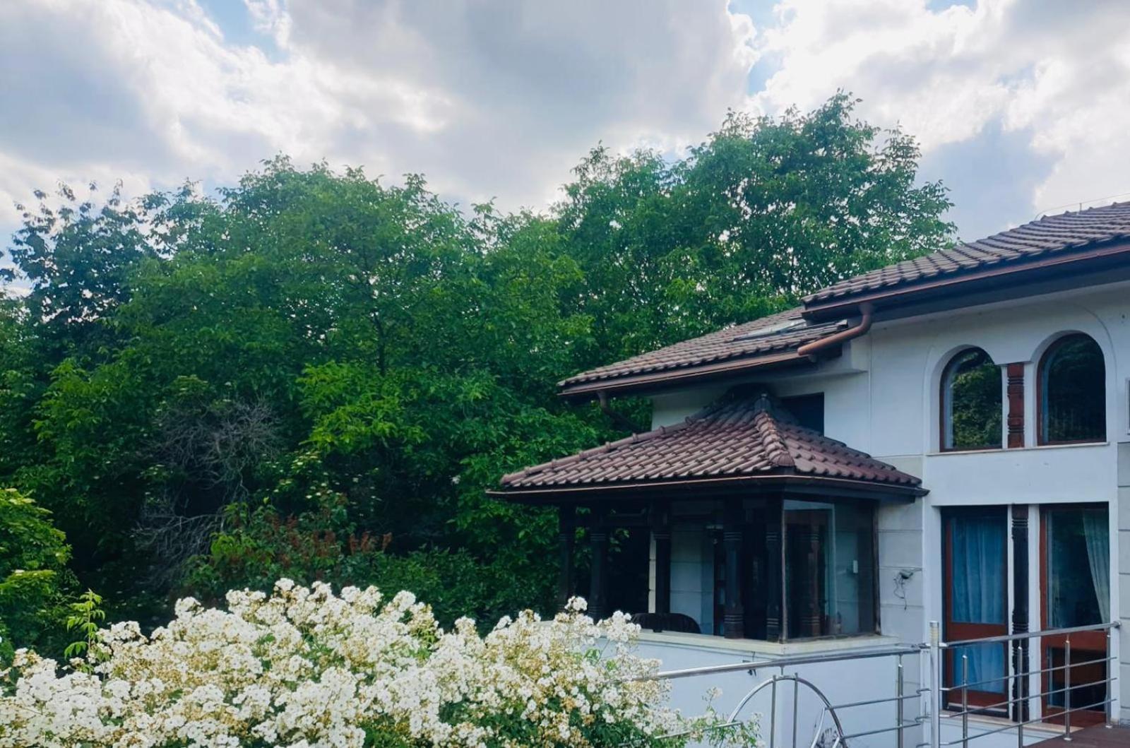 Rapsodia Pension Suceava Dış mekan fotoğraf