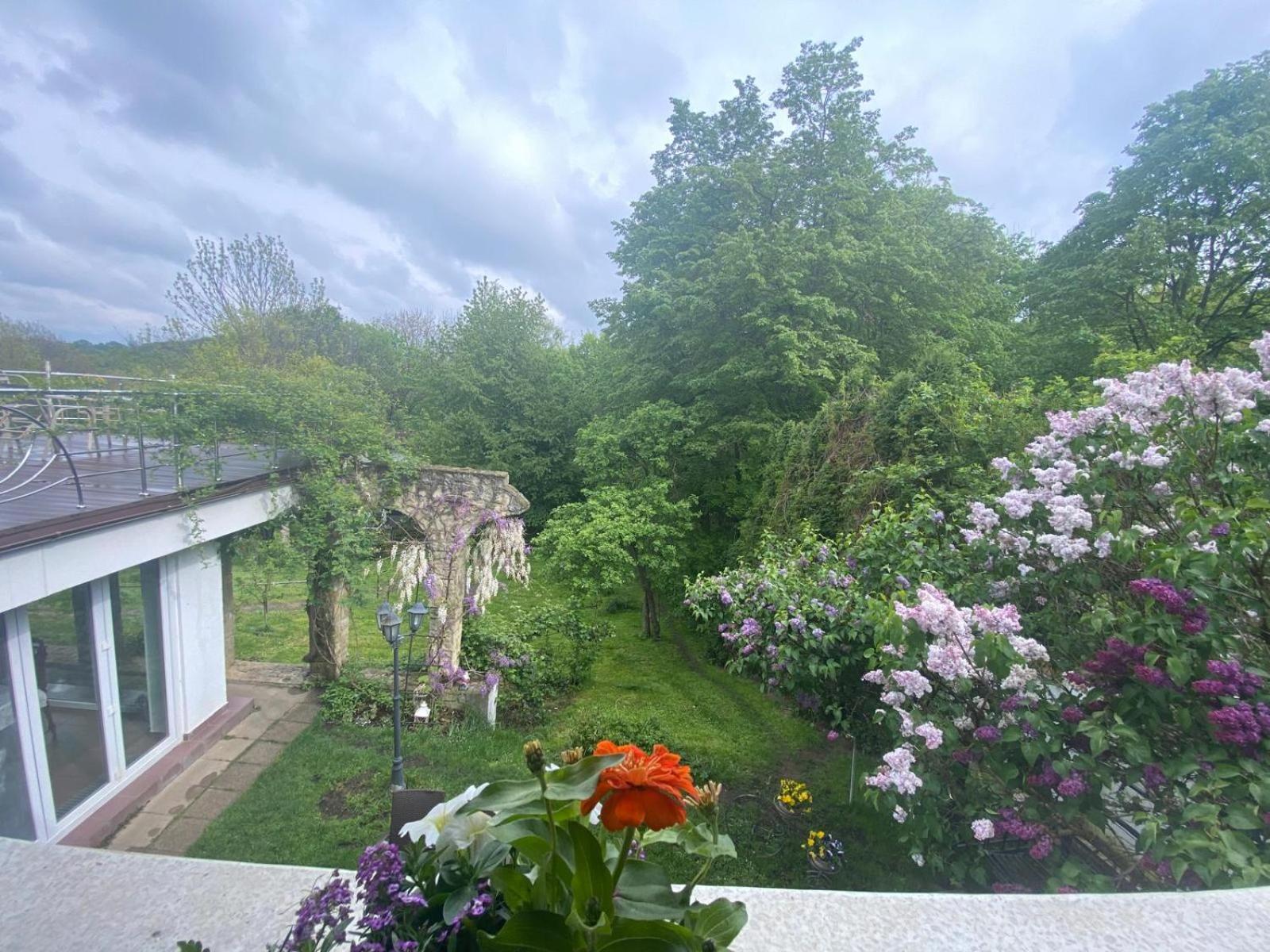 Rapsodia Pension Suceava Dış mekan fotoğraf
