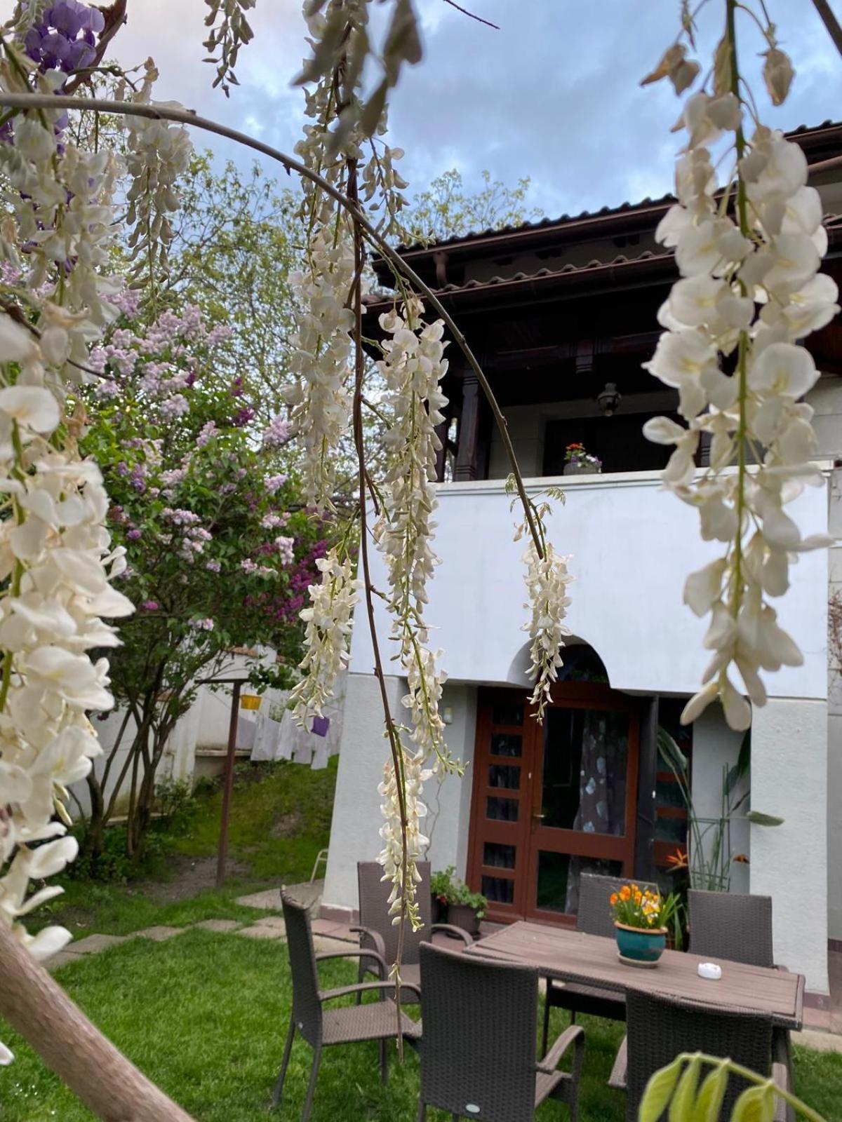 Rapsodia Pension Suceava Dış mekan fotoğraf
