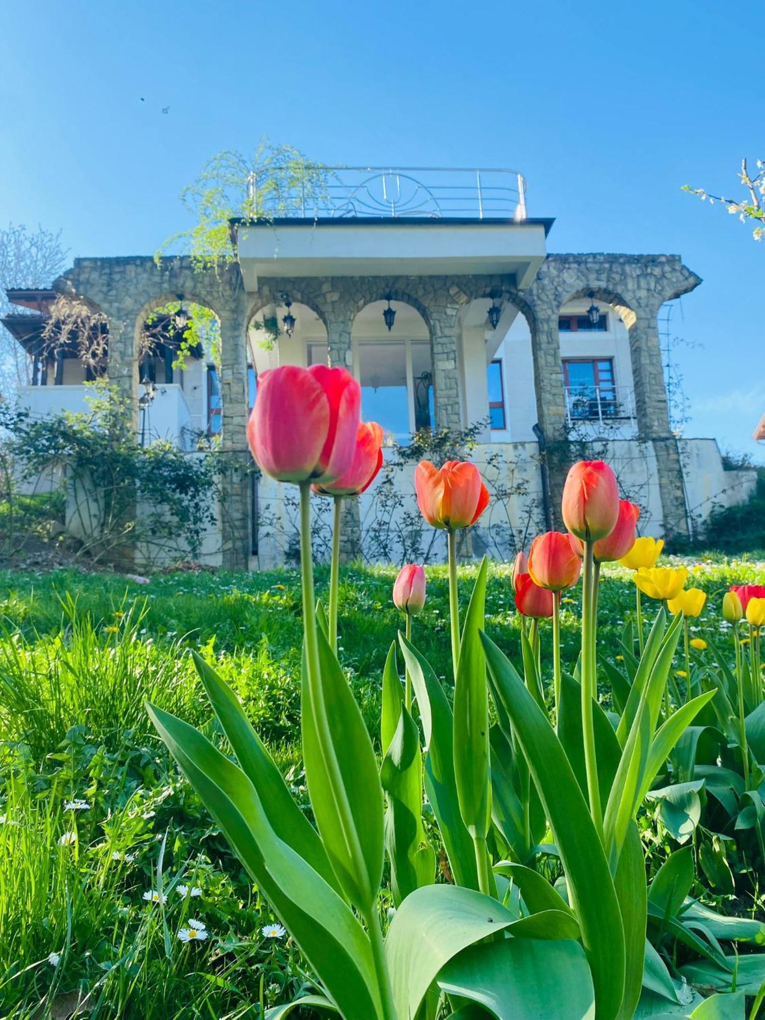 Rapsodia Pension Suceava Dış mekan fotoğraf
