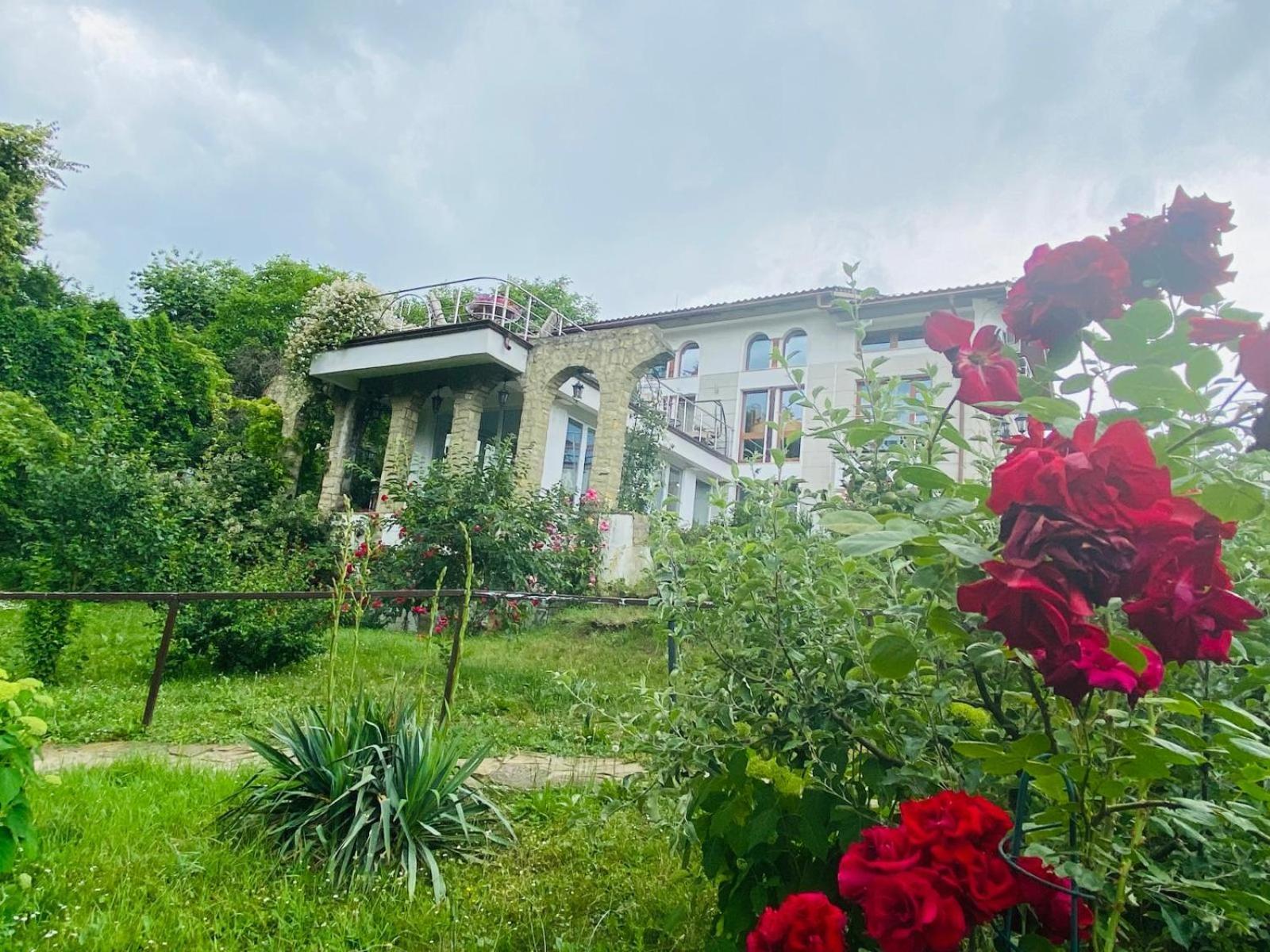 Rapsodia Pension Suceava Dış mekan fotoğraf