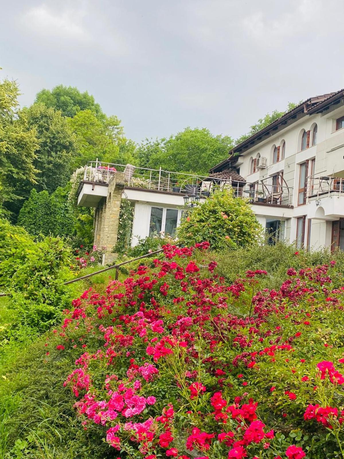 Rapsodia Pension Suceava Dış mekan fotoğraf